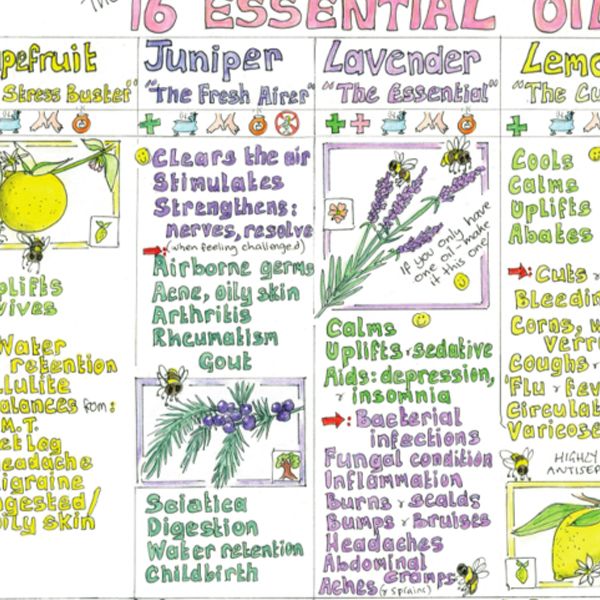 Aromatherapy Carrier Oils Chart