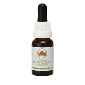 Australian Bush Flower Essences Dog Rose Of The Wild Forces 15ml