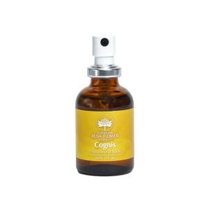 Australian Bush Flower Essences Cognis (Focus) Oral Spray 30ml