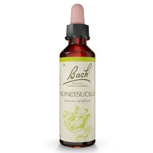 Bach Flower Remedy Honeysuckle