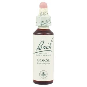 Bach Flower Remedy Gorse