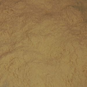 Baldwins Shatavari Root Powder (asparagus Racemosus)