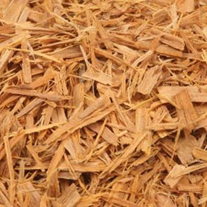 Baldwins Cats Claw Bark ( Uncaria Tomentosa )