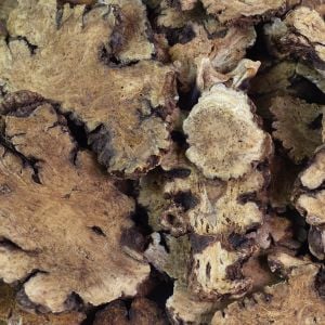 Baldwins Ligusticum (Chuan Xiong) Chinese Herb