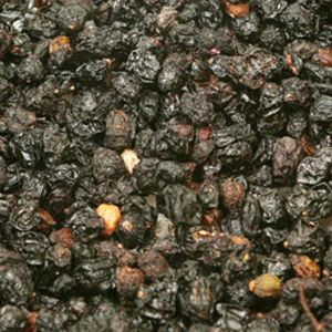 Baldwins Elderberries