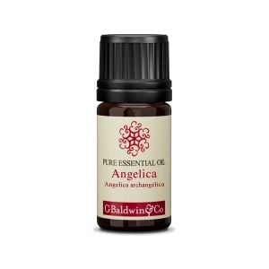 Baldwins Angelica (angelica Archangelica) Essential Oil