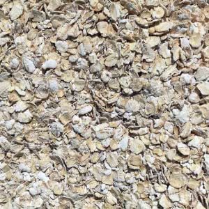 Infinity Foods Organic Gluten Free Porridge Oats