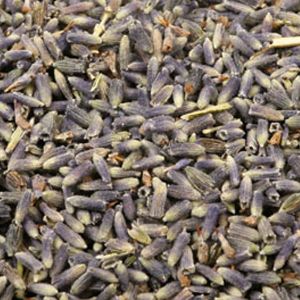 Baldwins Lavender Flowers ( Lavendula Angustifolia )