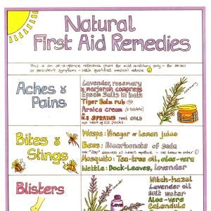 First Aid Chart