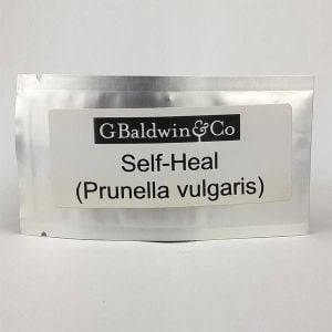 Self Heal Growing Seeds