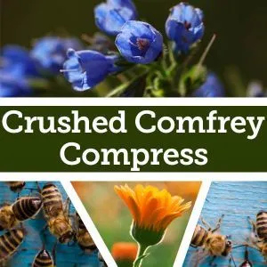 Baldwins Organic Comfrey Herb | G Baldwin & Co