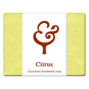 Baldwins Citrus Soap 100g