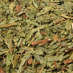 Baldwins Thuja Herb  ( Thuja Occidentalis )