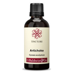 Baldwins Artichoke Tincture