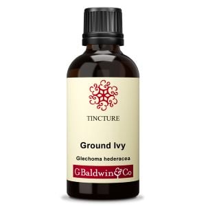 Baldwins Ground Ivy ( Glechoma Hederacea ) Herbal Tincture