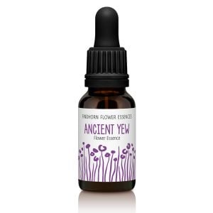 Findhorn Flower Essences Ancient Yew 15ml