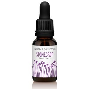 Findhorn Flower Essences Stonecrop 15ml