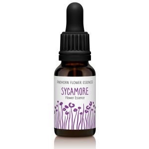 Findhorn Flower Essences Sycamore 15ml