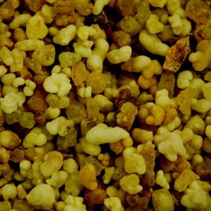 Baldwins Frankincense Grains Gum