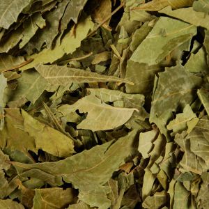 Baldwins Neem Leaves ( Azadirachta indica )