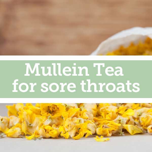 Baldwins Remedy Creator Mullein Tea for Sore Throats G Baldwin & Co