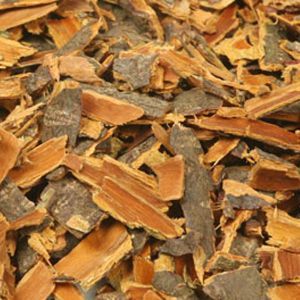 Baldwins Buckthorn Bark ( Rhamnus Frangula )