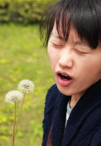 Find The Right Herbal Remedy for Your Hay Fever