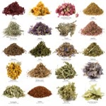 Which Of Your Herbs Compliment What Foods?