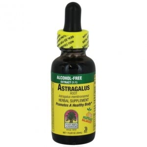 Natural Winter Remedies - Astragalus