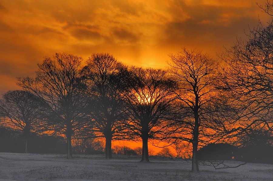 Winter sunset