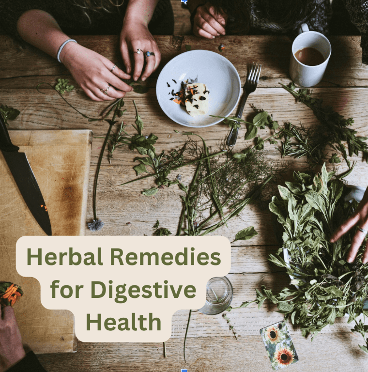 Herbal Remedies for Digestive Health