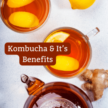 The Many Health Benefits Of Kombucha - A Complete Guide