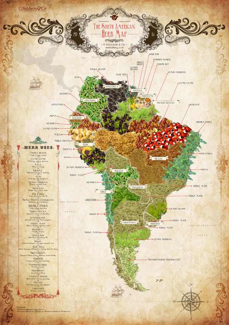 The Baldwins South American Herb Map ~ Download &amp; Share
