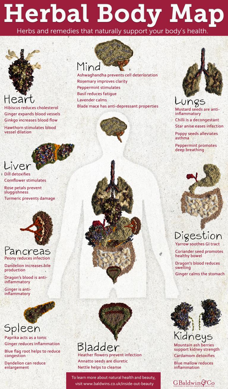 Herbal Body Map - Inside Out Beauty