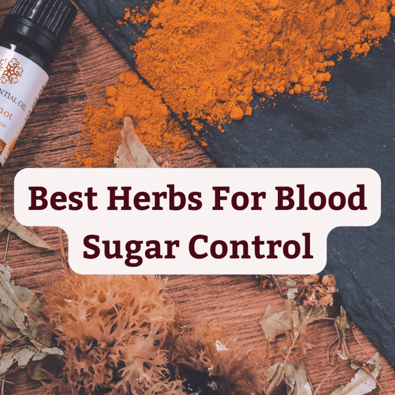 Top Herbs for Blood Sugar Control