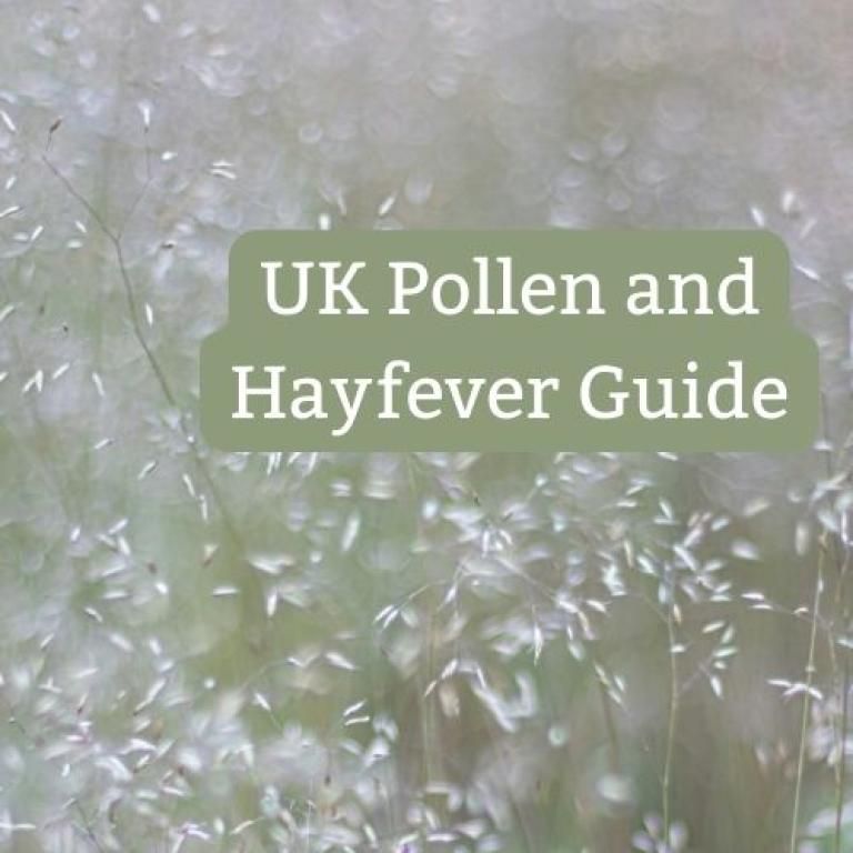 UK Pollen &amp; Hay Fever Calendar