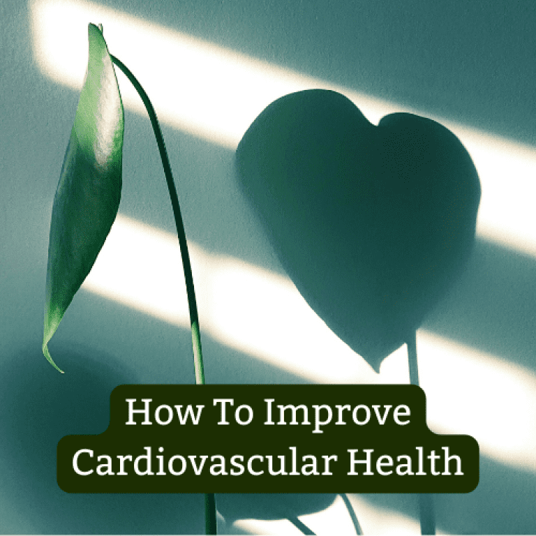 How To Improve Cardiovascular Health