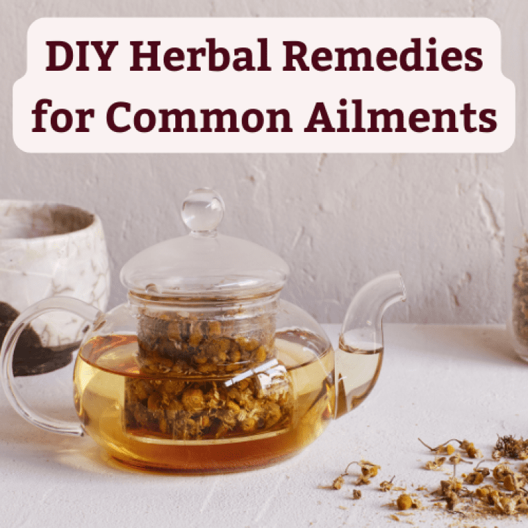 DIY Herbal Remedies for Common Ailments