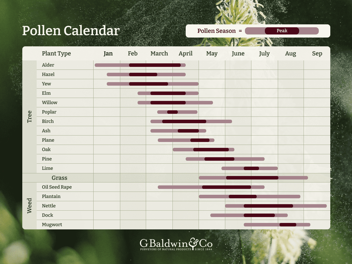 Pollen count calendar for Uk
