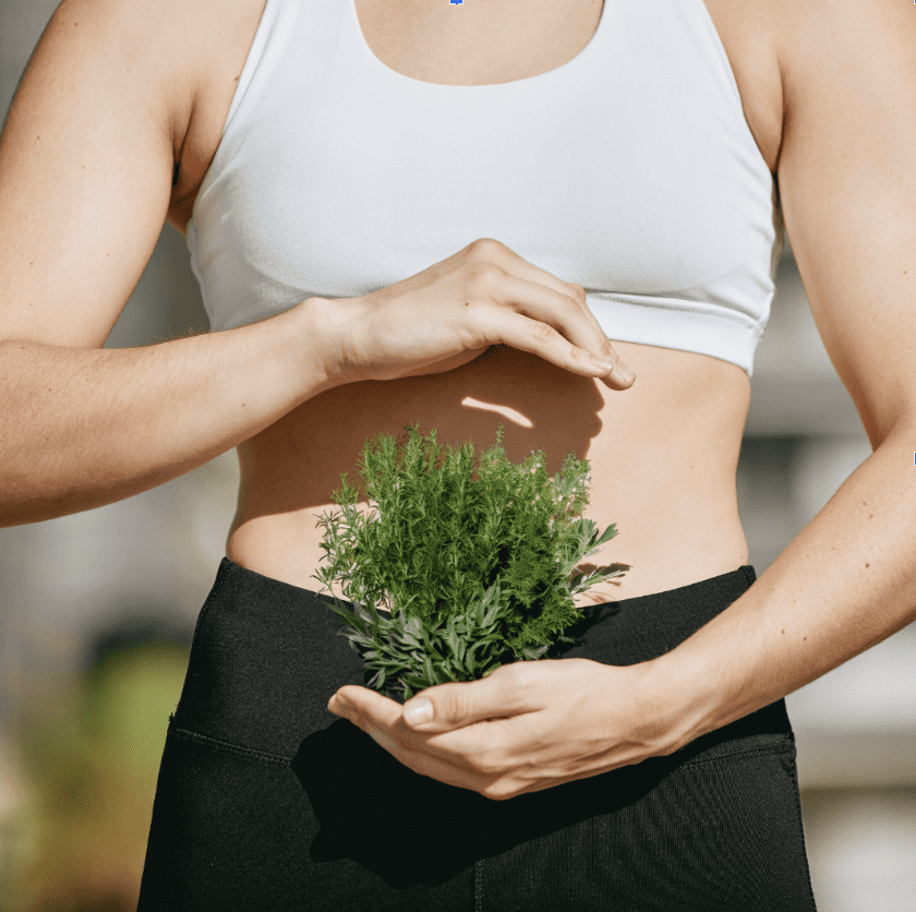 Herbal Remedies for Digestive Health G Baldwin & Co