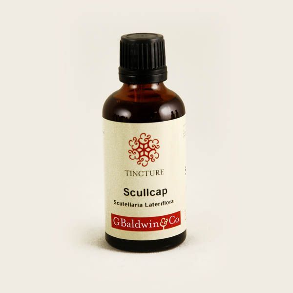 A small amber glass bottle with a white label for "Scullcap Tincture" (Scutellaria lateriflora) from G Baldwin & Co. The label is adorned with a decorative red motif around the word "TINCTURE". The bottle has a black cap, and the branding suggests a focus on natural health products.